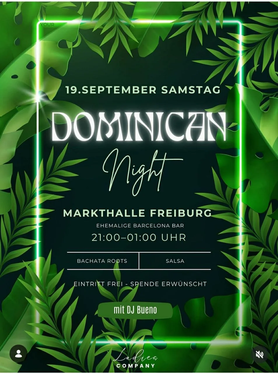 Dominican Night