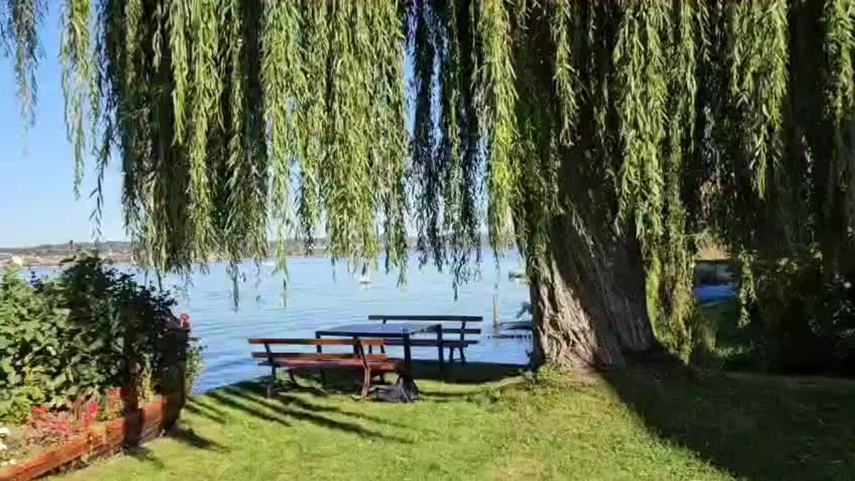 SaBaKiz auf der Reichenau