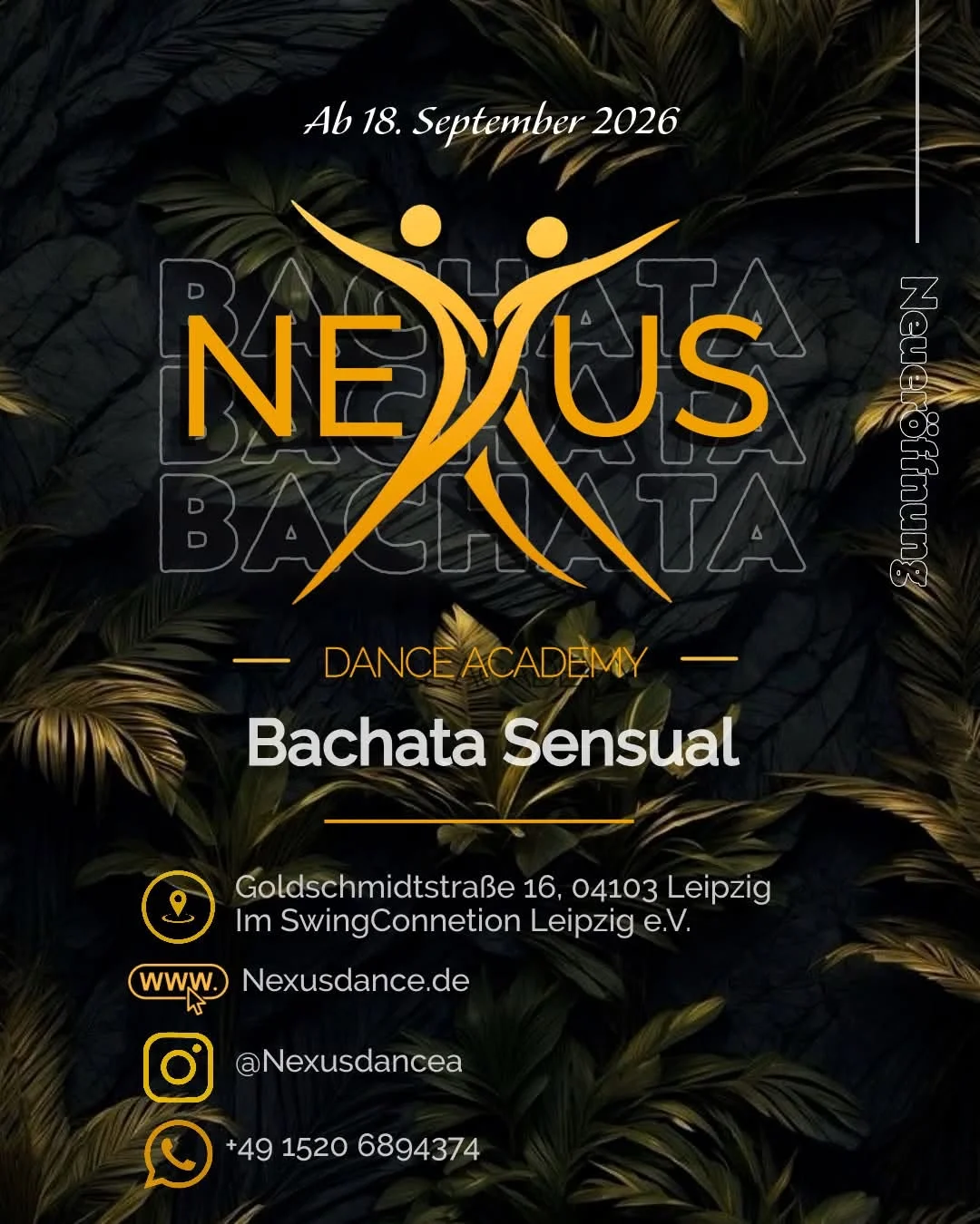 Bachata Unterricht 