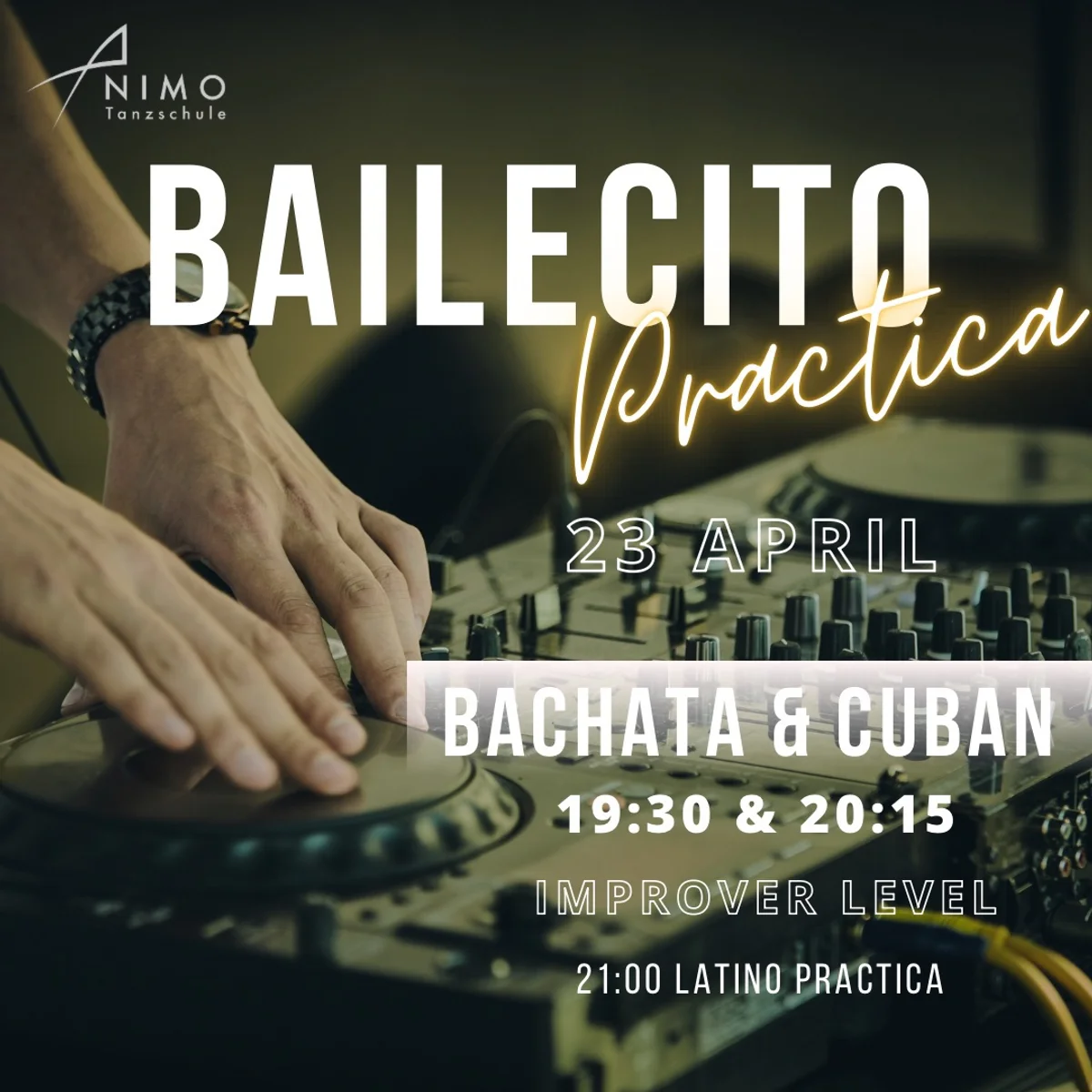 Animo Latino in Mannheim 