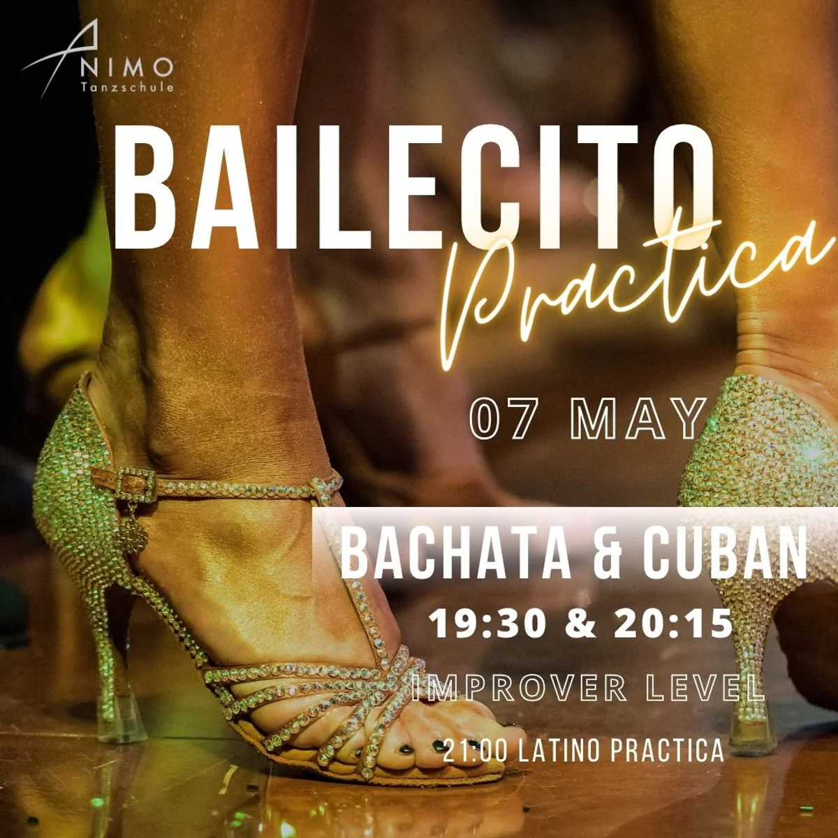 Animo Latino in Mannheim 